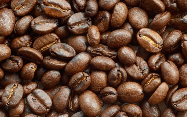Download Free Coffee Bean Wallpaper.