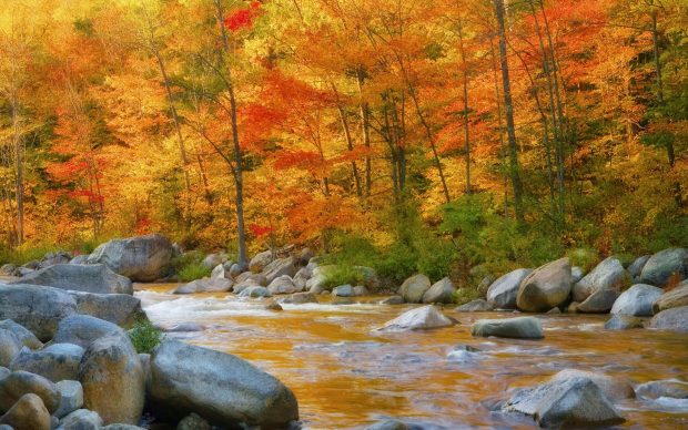 Free Autumn River Photo.