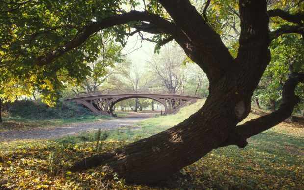 Free Central Park Photo.