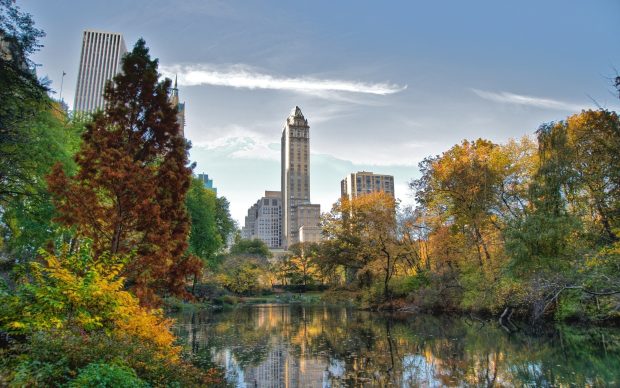 Free Central Park Picture.