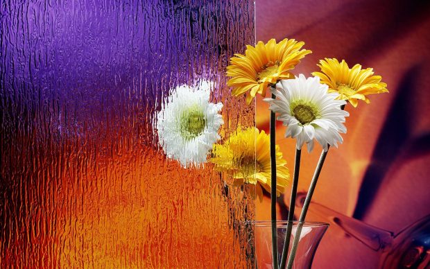 Free Colorful Flower Picture.