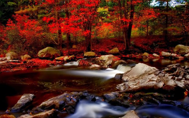 HD Autumn River Background.