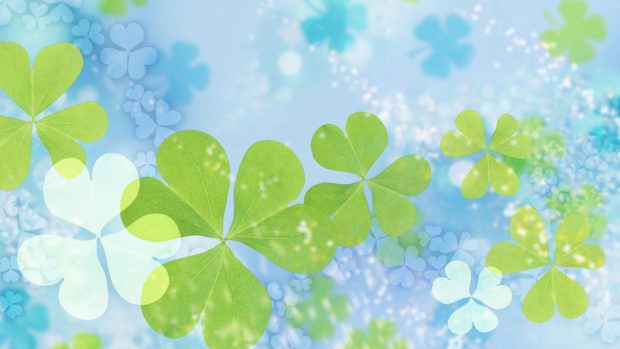 HD Clover Background.