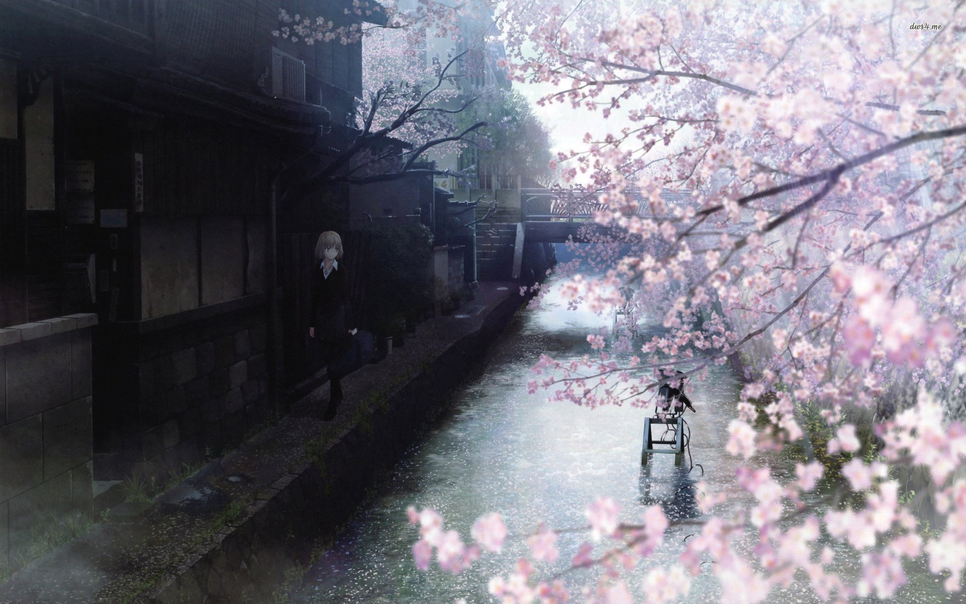 Sky pink evening spring city anime art street lihjts sakura anime  city HD wallpaper  Wallpaperbetter