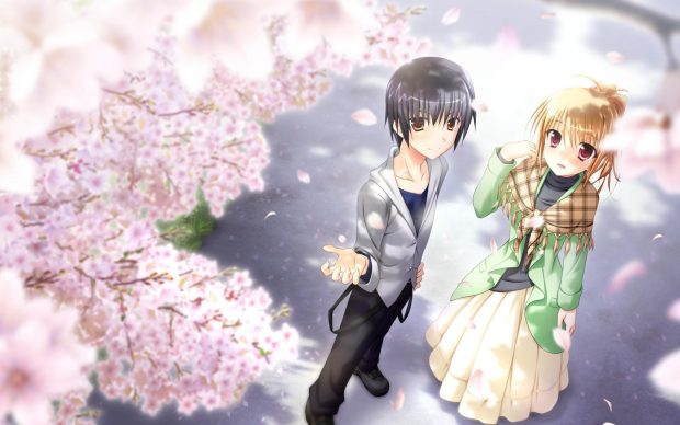 Image of Anime Cherry Blossom.