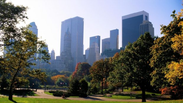 Photo of Central Park.