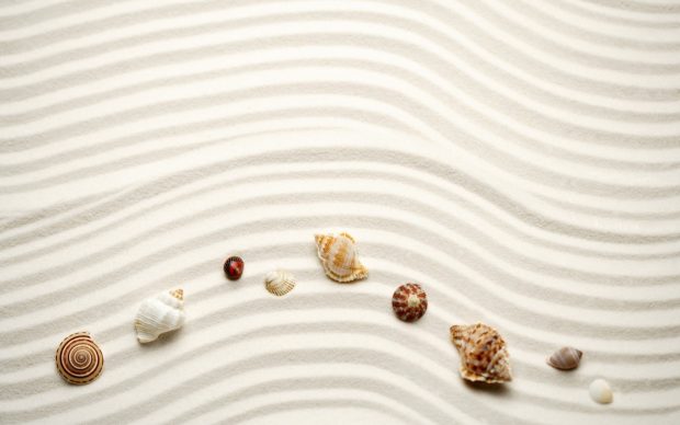 Picture of Beach Sand.