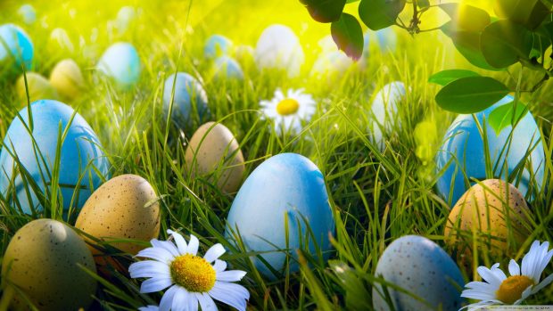 Easter Desktop Backgrounds Collection 23