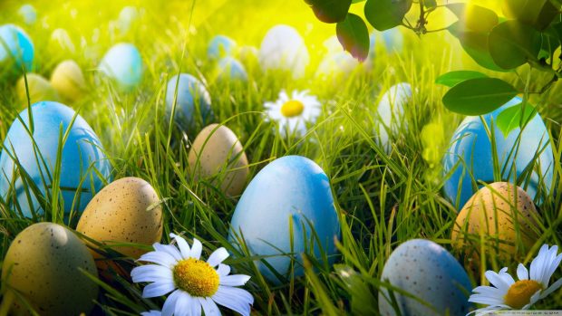 Easter Desktop Backgrounds Collection 24