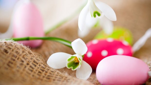 Easter Desktop Backgrounds Collection 5