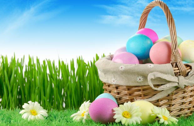 Basket of easter-eggs on meadow at sunny day.