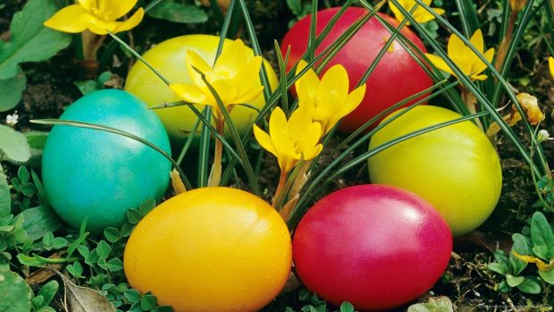 Easter Wallpaper HD Collection 10