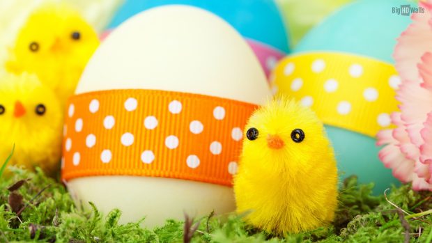 Easter Wallpaper HD Collection 14