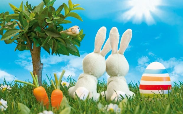 Easter Wallpaper HD Collection 24