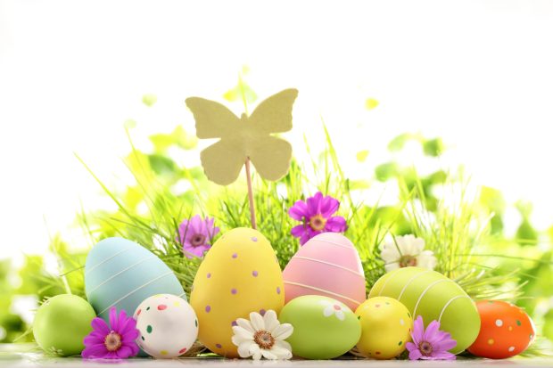 Easter Wallpaper HD Collection 31