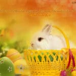 Easter Wallpaper HD Collection 36