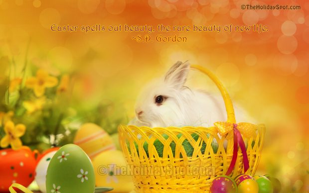 Easter Wallpaper HD Collection 36