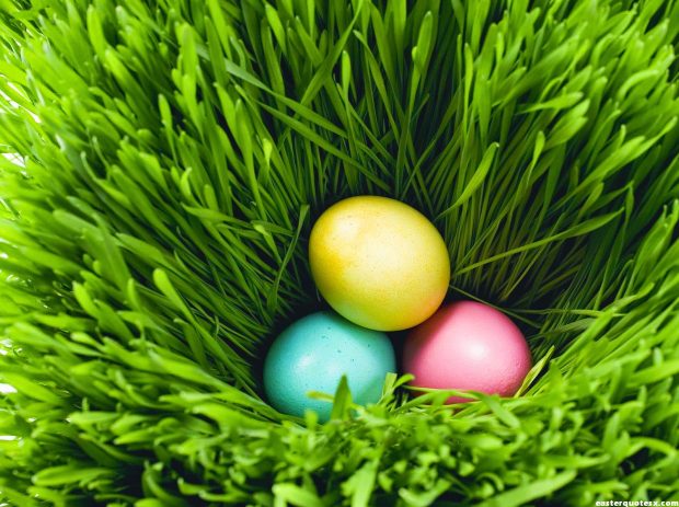 Easter Wallpaper HD Collection 4