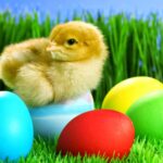 Easter Wallpaper HD Collection 7