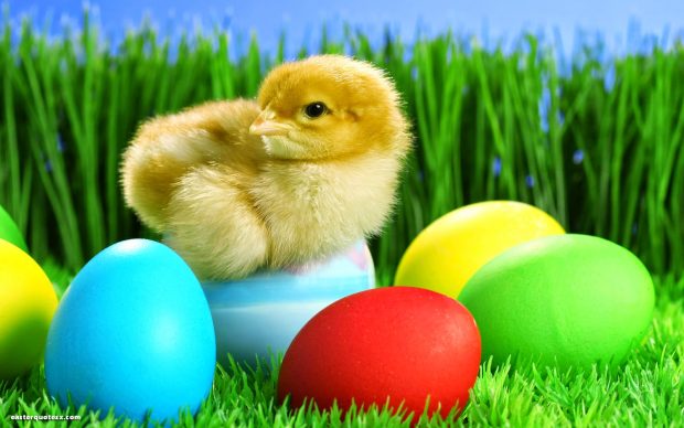 Easter Wallpaper HD Collection 7