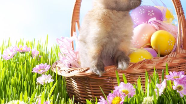 Free Easter Wallpaper HD for Desktop Collection 12