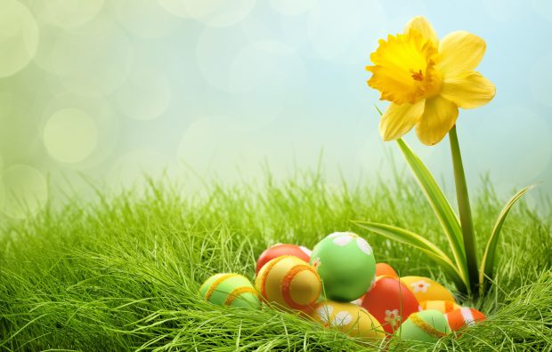 Free Easter Wallpaper HD for Desktop Collection 55