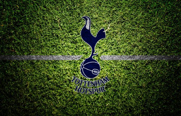 Green Tottenham Wallpaper