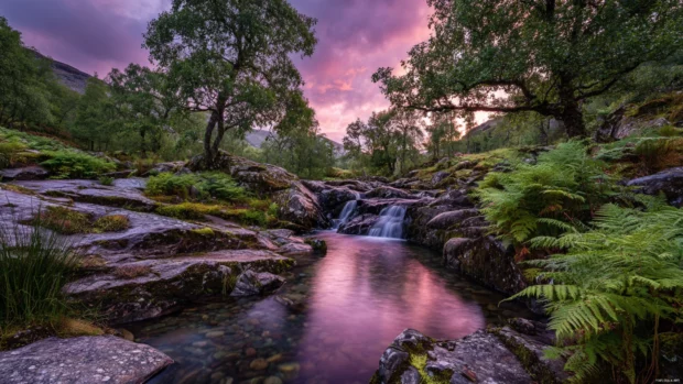 Waterfall at dawn with pastel skies reflecting on the flowing water, delicate ferns and moss covered rocks adding to the calm mood.