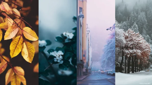 Cool images for wallpaper highlighting seasonal changes, featuring autumn leaves or winter snowscapes for cozy vibes.