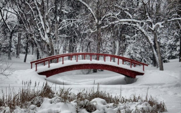 Snowy winter landscape with a red bridge and trees covered in snow