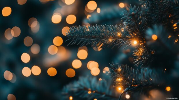 Close up of Christmas lights on tree branches with warm glowing decorations in bokeh background
