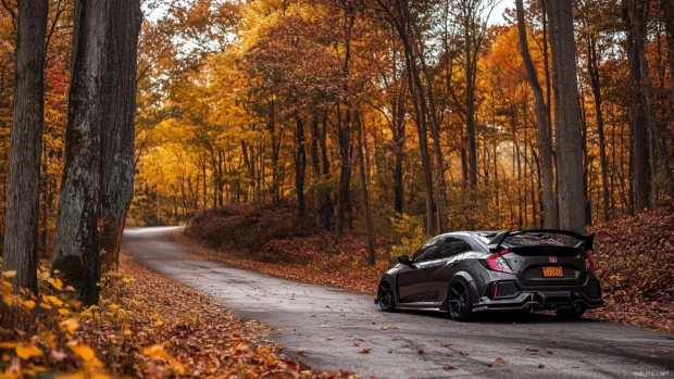 A modified Honda Civic Type R in matte black, parked in a quiet, scenic mountain road with autumn colors surrounding the car.