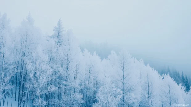 Subtle gradient of cool winter blues and whites.