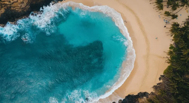 A Hawaii beach with crystal clear turquoise waters, lush palm trees in the background .