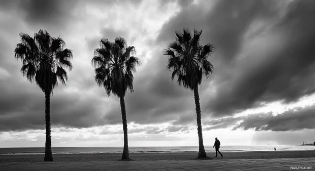 A black and white HD wallpaper of beach scene with palm trees.