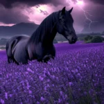 A black horse standing in a field of purple lavender under a stormy sky, lightning striking in the distance, capturing both beauty and power.