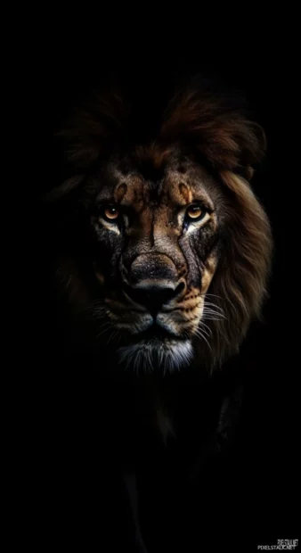 A lion emerging from the shadows, its golden eyes glowing intensely, dark and mysterious aura .