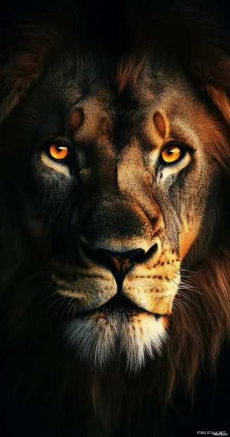 A lion emerging from the shadows, its golden eyes glowing intensely, mysterious aura .