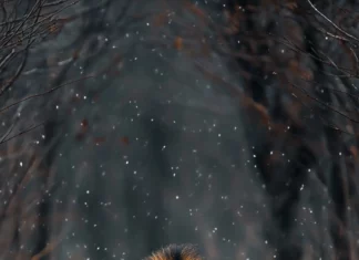 A lion walking through an abandoned battlefield, the remnants of war scattered around, an eerie silence in the air.