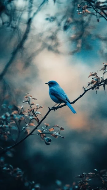 A minimalist composition with a bluebird centered between two symmetrical branches, ideal for blue bird wallpaper for.