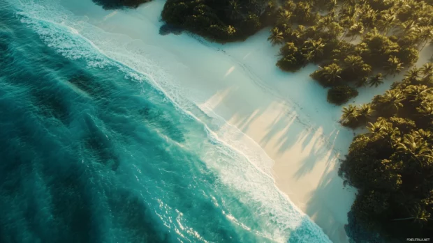 A pristine Bahamas beach with powdery white sand and turquoise waters.