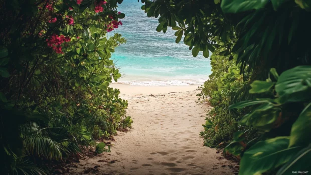 A serene Bahamas beach with gentle waves and golden sand.
