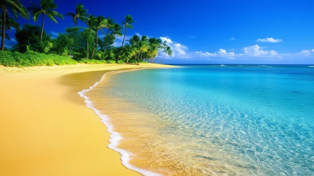 A stunning Hawaii beach chilling wallpaper with golden sand and crystal clear turquoise waters, lush palm trees.