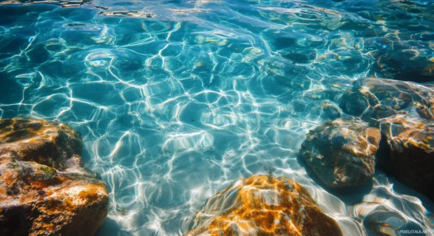 A tranquil Bahamas beach with crystal clear waters and colorful coral reefs.