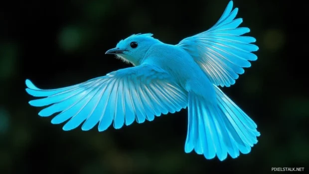 Blue bird HD wallpaper, presenting a glowing cyan bird captured mid flight with wings outstretched.