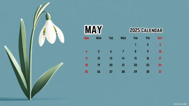 May 2025 Calendar Backgrounds HD 1080p.