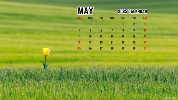 May 2025 Calendar Wallpaper for Mac.