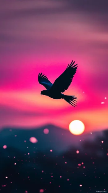 Parrot wallpaper for , showing a neon inspired parrot silhouette flying over glowing mountains.