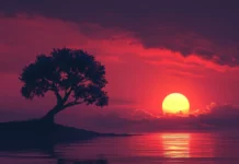 4K sunrise wallpaper featuring a rising sun behind a lone tree.