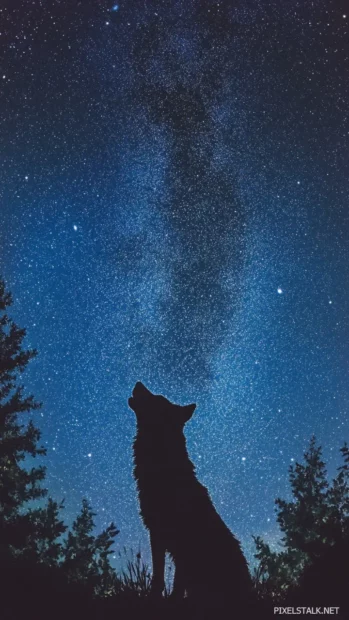 A a wolf forming from glowing particle trails across a starlit sky.